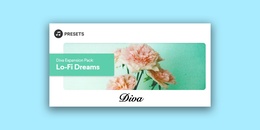 Diva Expansion Pack: Lo-Fi Dreams | Presets Sale