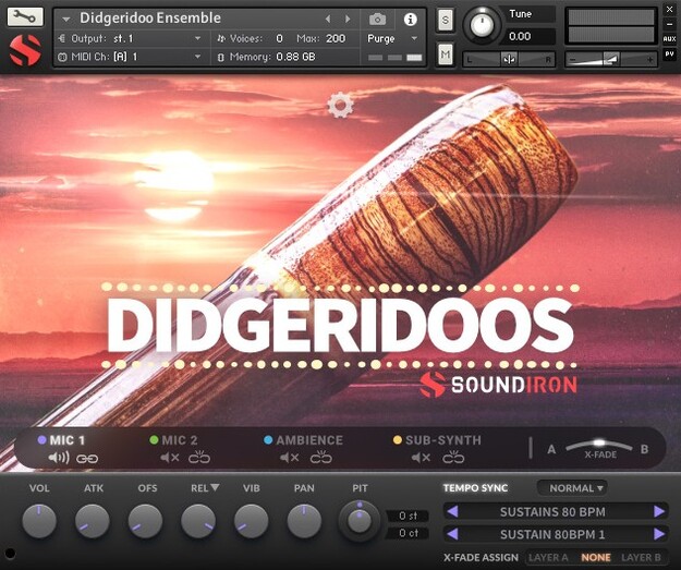 Didgeridoos