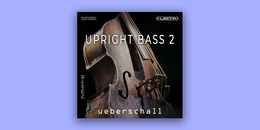 Upright Bass 2