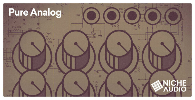 Pure Analog - Main Image