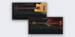 2in1 Acoustic Bass Bundle | Winter Sale