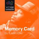 XO Expansion: Memory Card by Kaelin Ellis