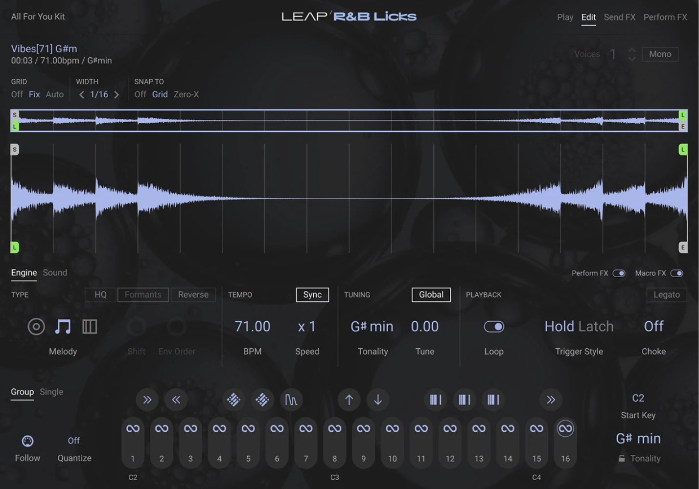 Native Instruments Leap Expansion - RnB Licks - Image 2