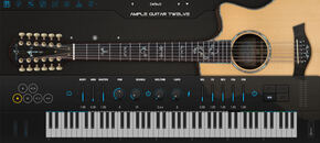 Ample Guitar Twelve