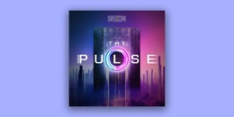 The Pulse | Black Friday Sale