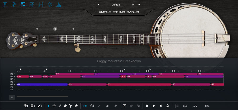 Ample Ethno Banjo - UI 3