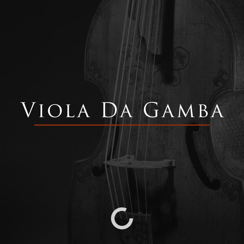 Viola da Gamba