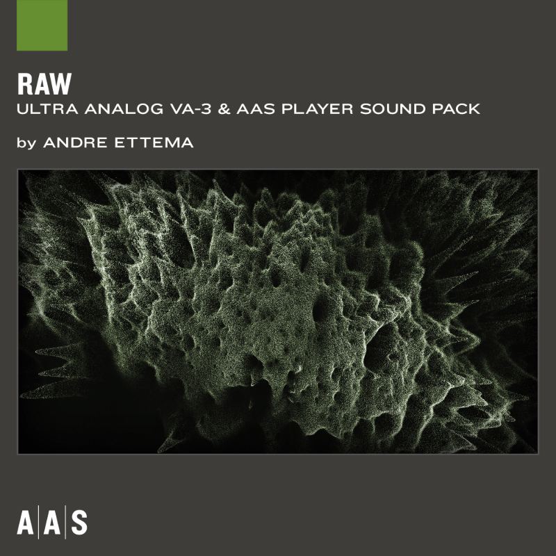 Raw Sound Bank Image