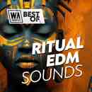 Best Of: Ritual EDM Sounds Bundle