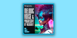 Melodic House & Progressive by Incognet | Holiday Sale