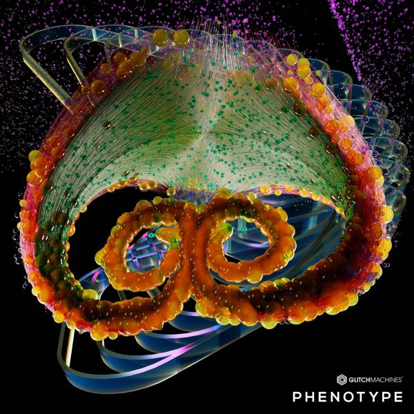 Glitchmachines Phenotype - Square Image