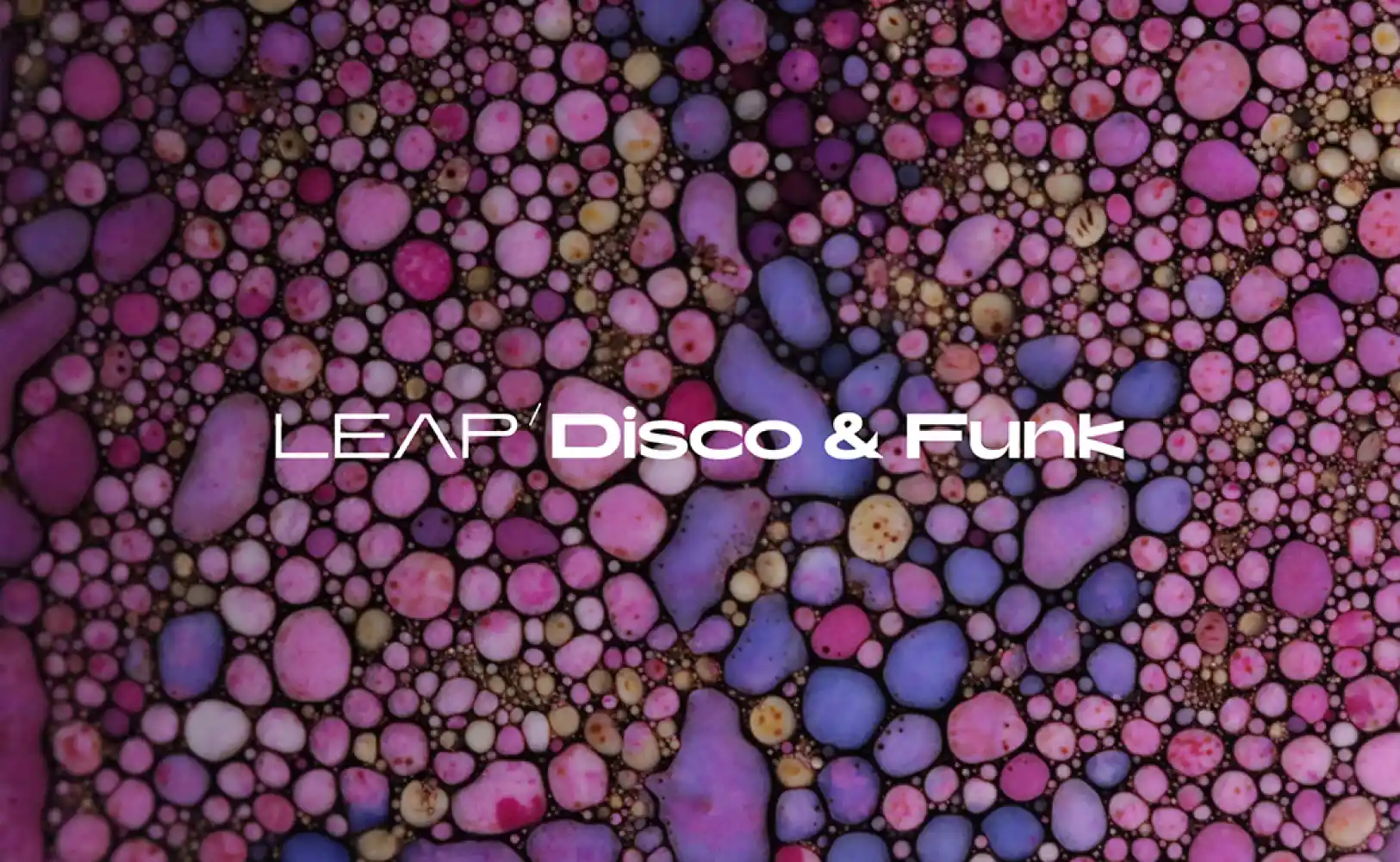 Native Instruments Leap Expansion - Disco and Funk