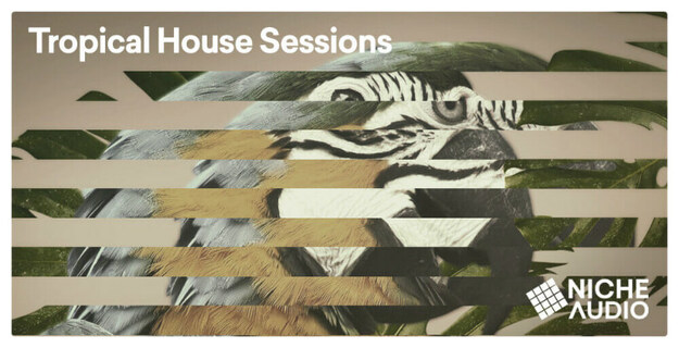 Tropical House Sessions screenshot