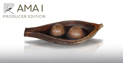 AMA I Producer Edition