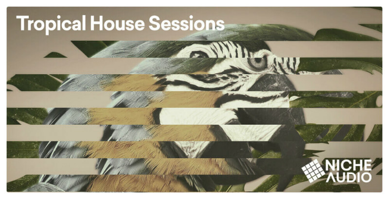 Tropical House Sessions - Rectangle Image