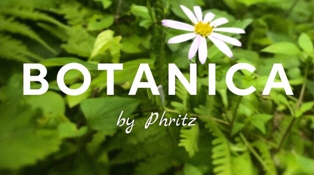 Botanica (CUBE Expansion) interface