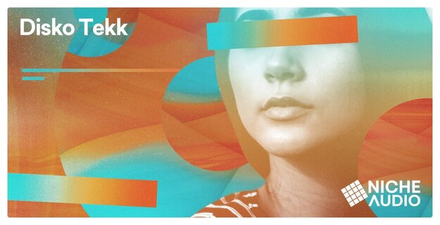 Disko Tekk interface
