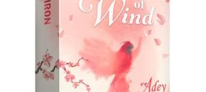 Voice of Wind: Adey | Summer Sale