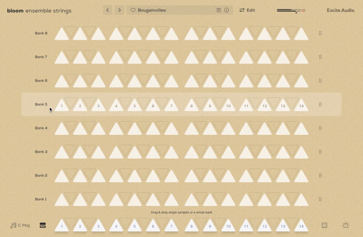 Bloom Ensemble Strings - Banks Page