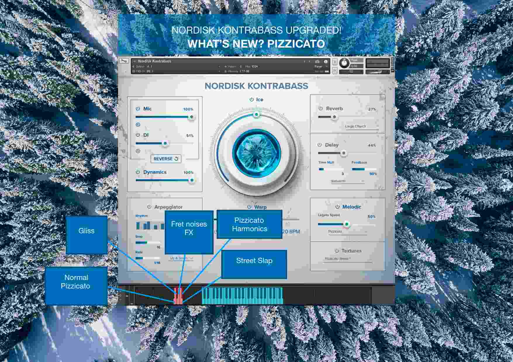 Nordisk Kontrabass - What's New 3