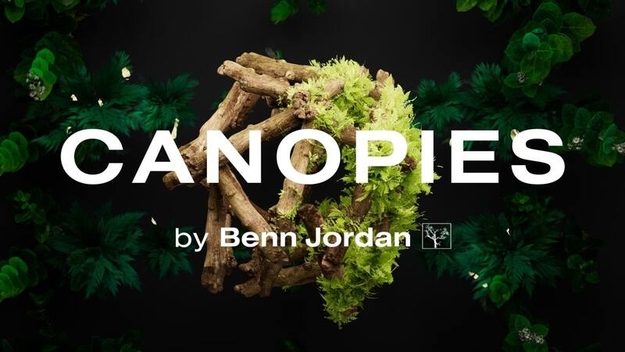 Canopies (CUBE Expansion) screenshot