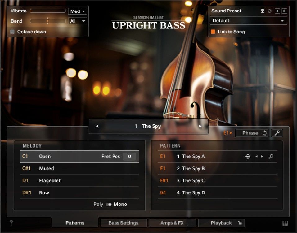 Native Instruments Session Bassist - Upright Bass