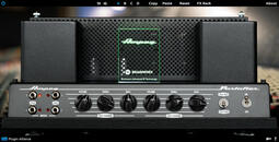 Ampeg B-15N