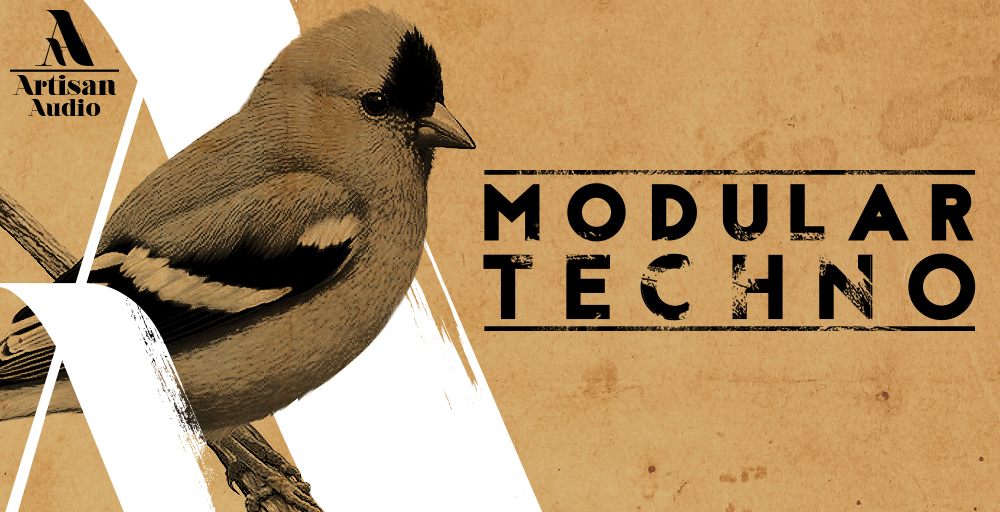 Loopmasters Artisan Audio Modular Techno 1