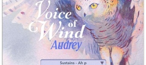 Voice of Wind: Audrey | Summer Sale