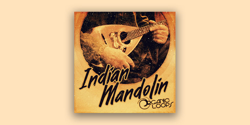 Indian Mandolin