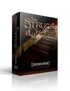 Struck Grand Piano | Black Friday Sale