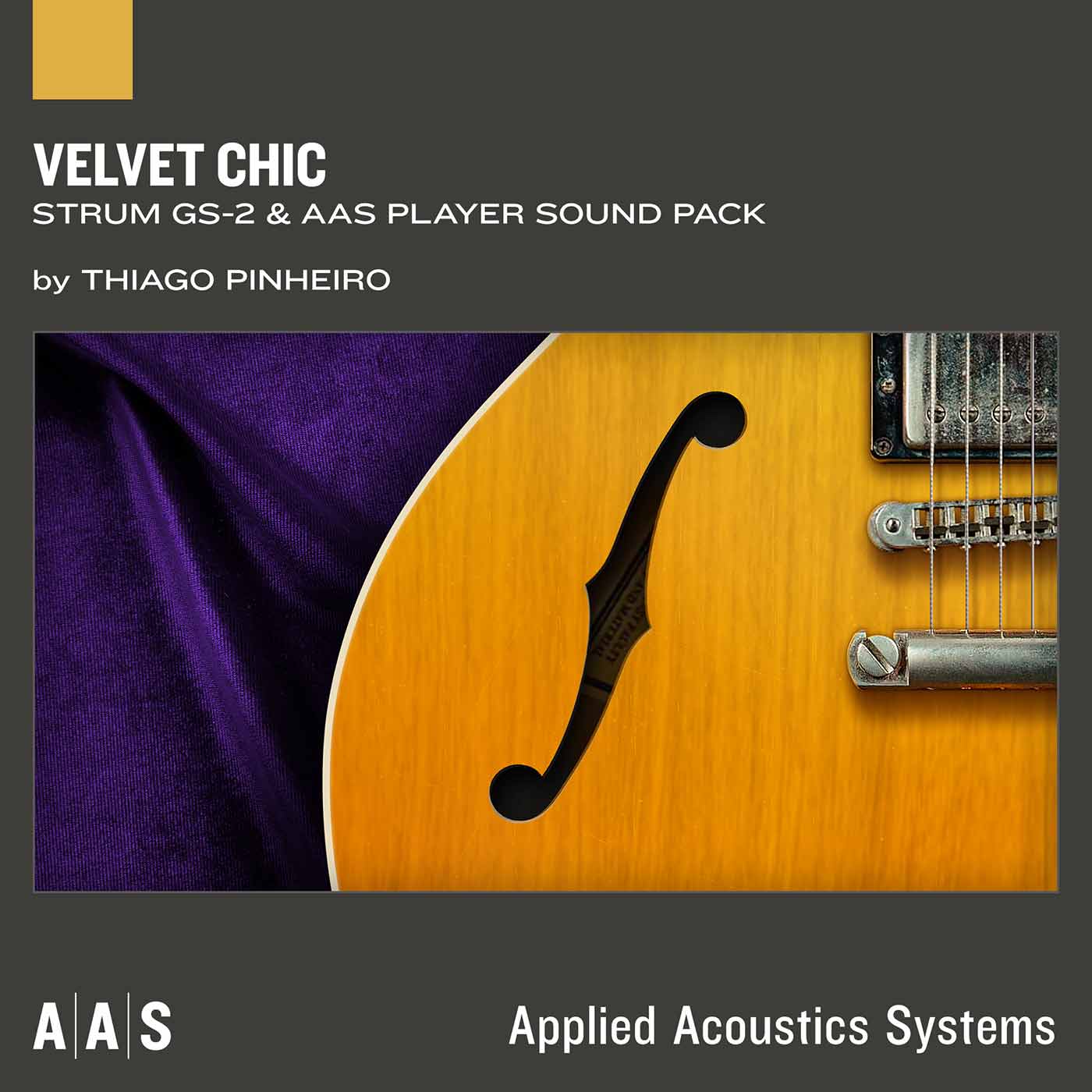 AAS Velvet Chic Strum GS-2 Sound Bank