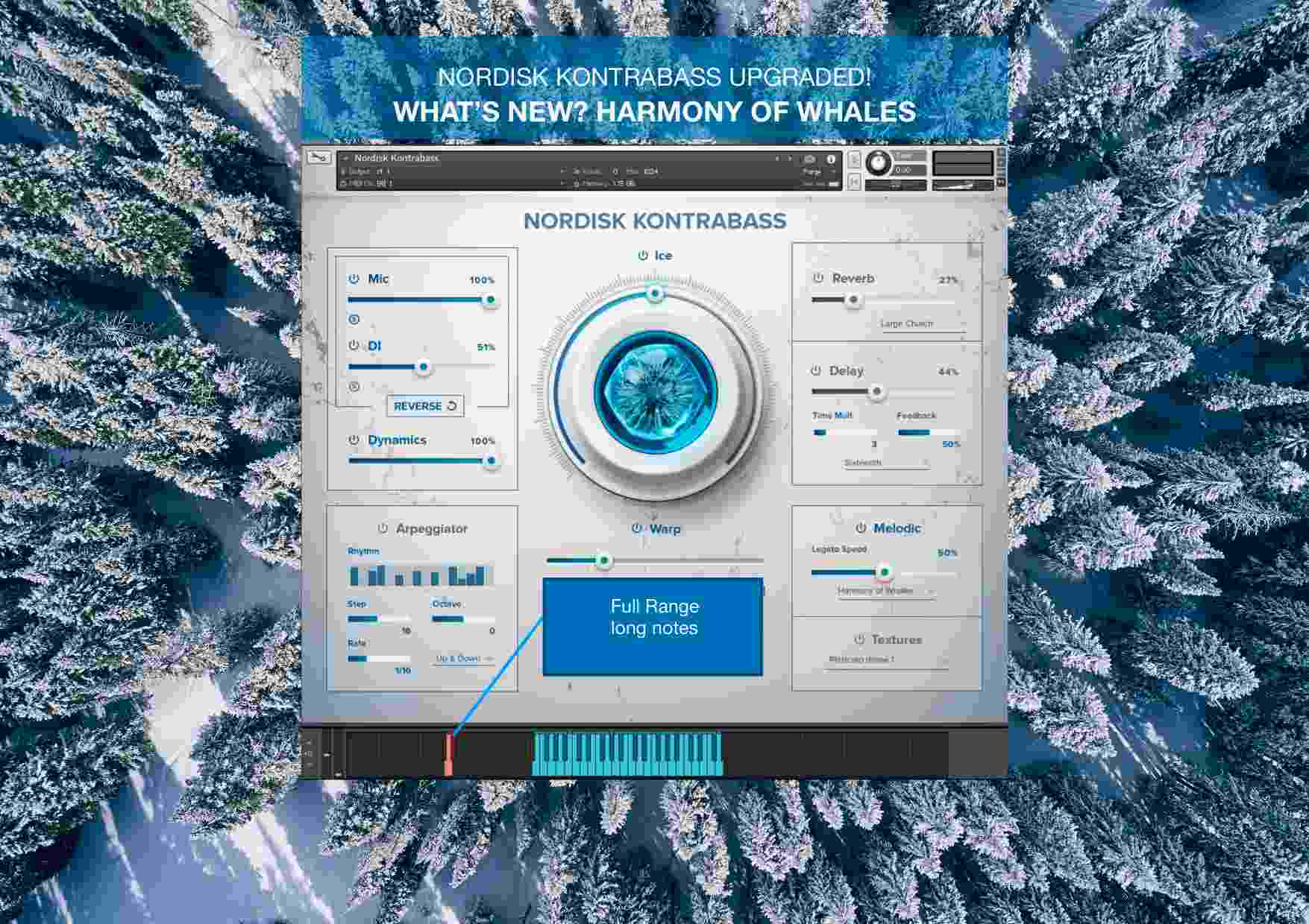 Nordisk Kontrabass - What's New 2