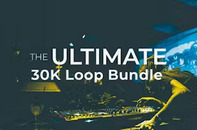 30k+ Loop Library