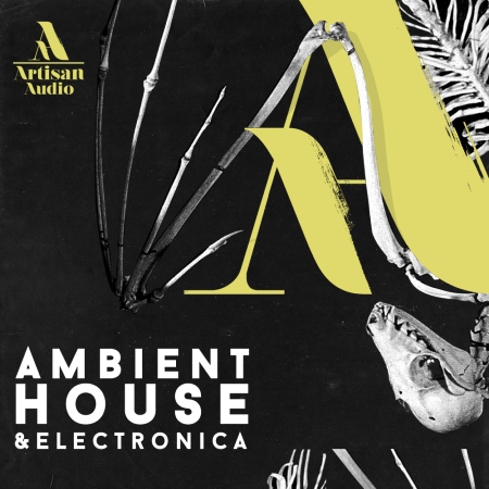 Artisan Audio - Ambient House & Electronica