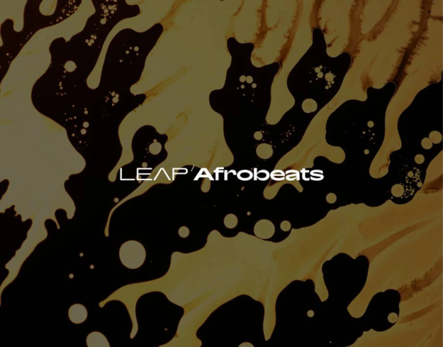 Leap Expansion – Afrobeats screenshot