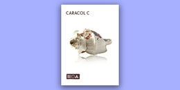 Caracol C | Black Friday Early Access Sale