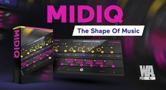 MIDIQ