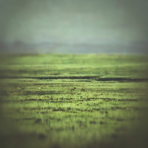 KLANG FREEZE: Tranquil Meadow