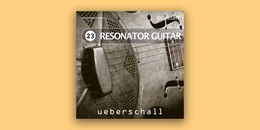 Resonator Guitar