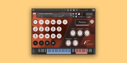 El Dorado Master Guitars