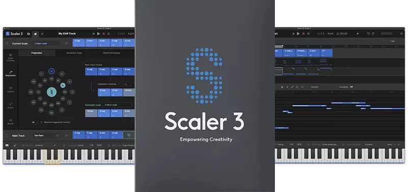 Scaler 3