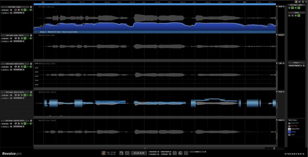 Synchro Arts Revoice Pro 5 - UI 6