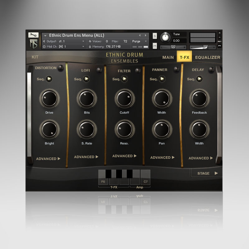 Ethnic Drum Ensembles TFX Main