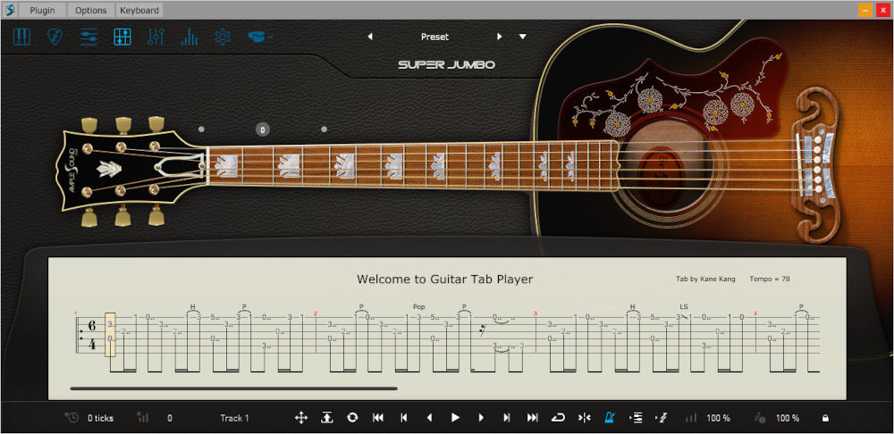 Ample Guitar SJ - UI 4