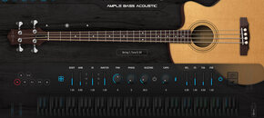 Ample Bass Acoustic