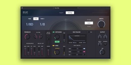 Delay Pro