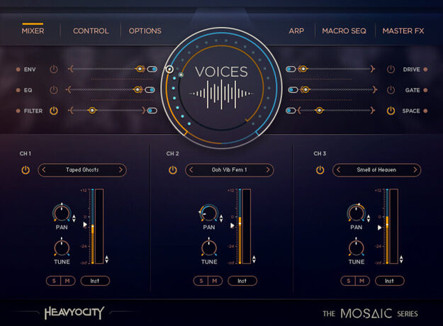 Mosaic Voices