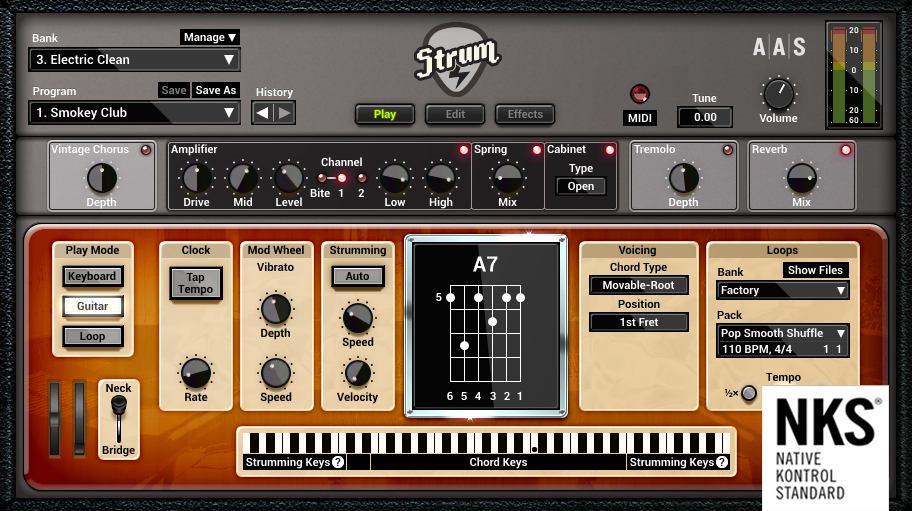 Strum GS-2 Electric Main UI