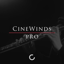 CineWinds Pro | Winter Sale